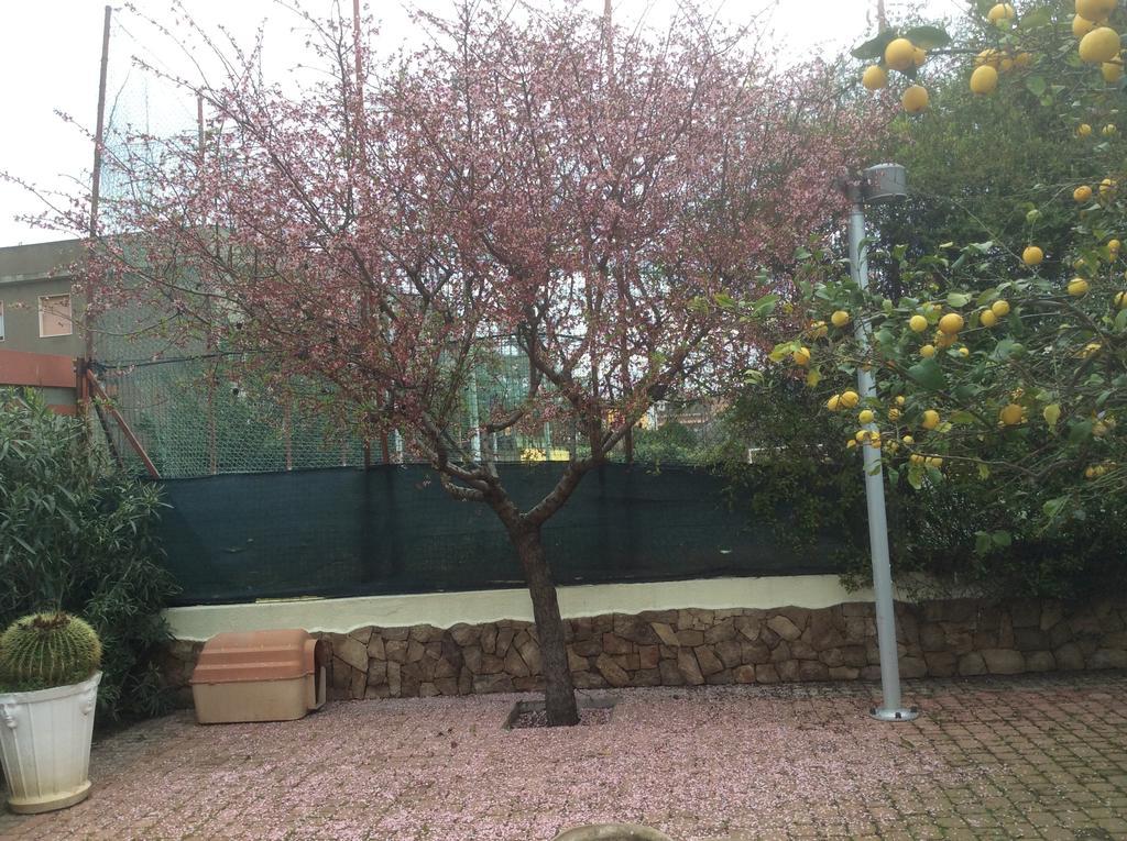 לינה וארוחת בוקר Quartu SantʼElena Bramasole מראה חיצוני תמונה